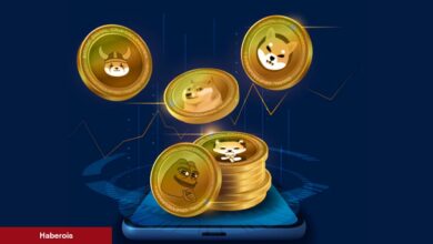 Kullanıcıları Terk Ediyor! Tanınan Göğüs Coin İçin Ne Bekleniyor?