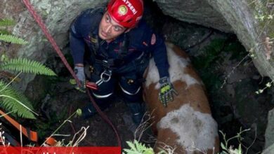 Mahsur büyükbaşa Kayseri İtfaiyesi'nden yardım eli