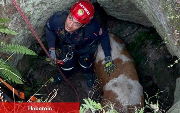 Mahsur büyükbaşa Kayseri İtfaiyesi'nden yardım eli - Haberois Mahsur büyükbaşa Kayseri İtfaiyesi'nden yardım eli