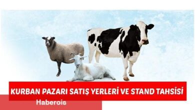 Malkara Belediyesi Kurban Pazar Satış Yerleri ve Stand Tahsisi Duyurusu