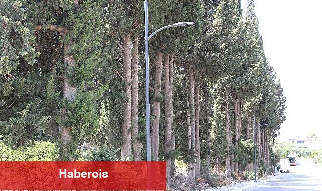 Menderes'e Yeni Aydınlatmalar - Haberois Menderes'e Yeni Aydınlatmalar