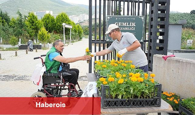 Mezarlıklarda çiçekler Gemlik Belediyesi'nden
