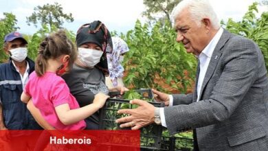 Muğla Büyükşehir İpekböcekçiliğini Destekliyor Muğla Kazanıyor