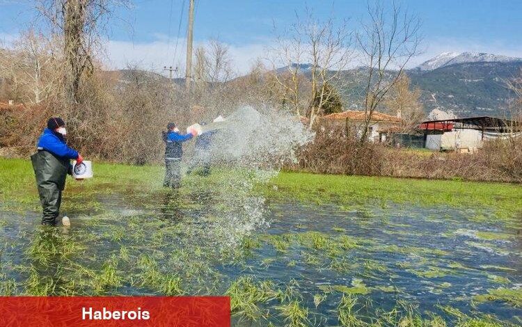 Muğla'da yağış sonrası vektörle mücadele sürüyor - Haberois Muğla'da yağış sonrası vektörle mücadele sürüyor