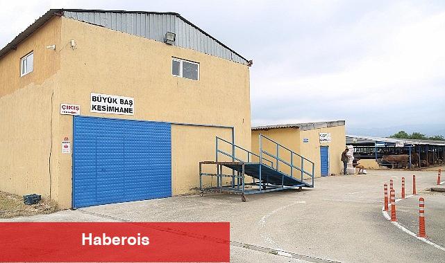 Nilüfer'de kurban kesim alanları belirlendi - Haberois Nilüfer'de kurban kesim alanları belirlendi