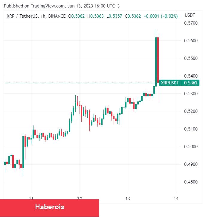 O Kritik Evraklar Sızdı: Ripple Fiyatı Ansızın Sıçradı!