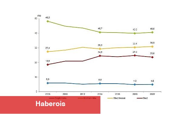 Obez bireylerin oranı %20,2 oldu - Haberois Obez bireylerin oranı %20,2 oldu
