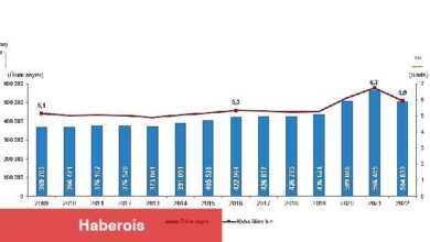 Ölüm sayısı 2022 yılında 504 bin 839 oldu