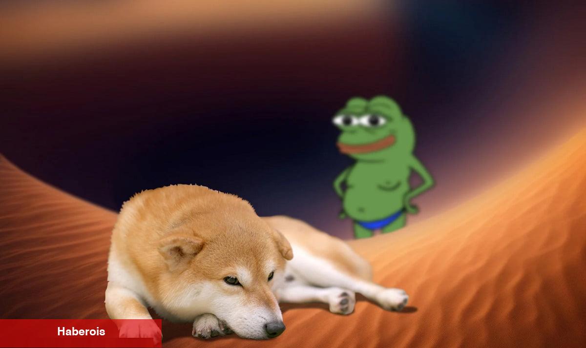 PEPE De Var! SEC-Binance Savaşı Göğüs Coinleri Sert Vurdu