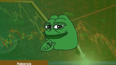 PEPE De Var! SEC-Binance Savaşı Göğüs Coinleri Sert Vurdu