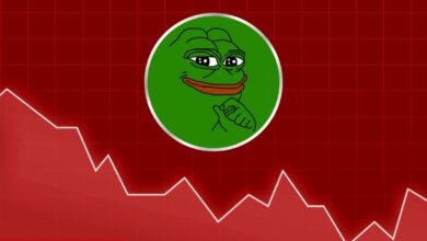 PEPE, DOGE Satan Balinalar Bu Altcoini Süratle Biriktiriyor!