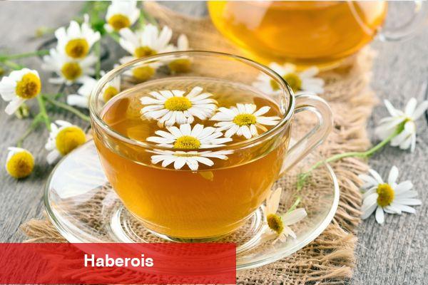Regl ağrılarını hafifleten bitki çayları