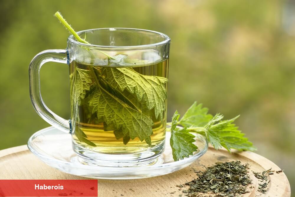 Regl ağrılarını hafifleten bitki çayları