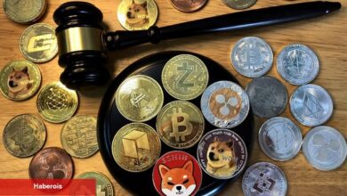 Regülatör Baskılarının Ortasında Bu 6 Altcoin İzlenmeli!