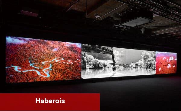 Richard Mosse'nin Amazon Portresi'nin Korkunç Güzelliği