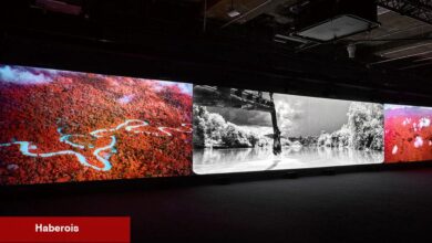 Richard Mosse'nin Amazon Portresi'nin Korkunç Güzelliği