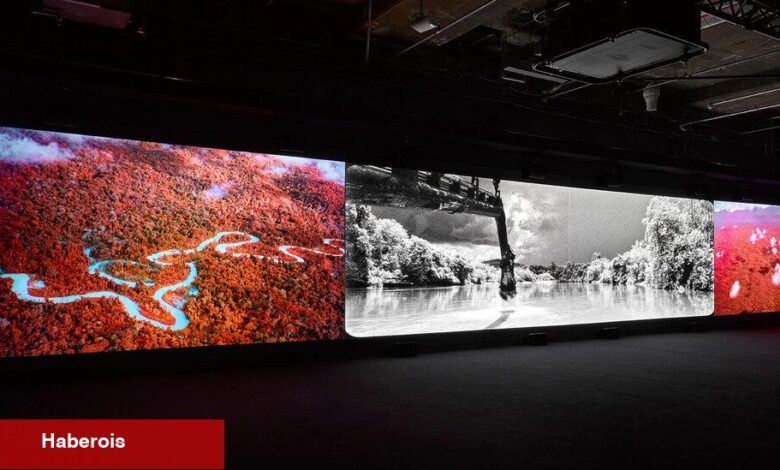Richard Mosse'nin Amazon Portresi'nin Korkunç Güzelliği