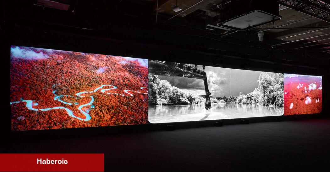 Richard Mosse'nin Amazon Portresi'nin Korkunç Güzelliği
