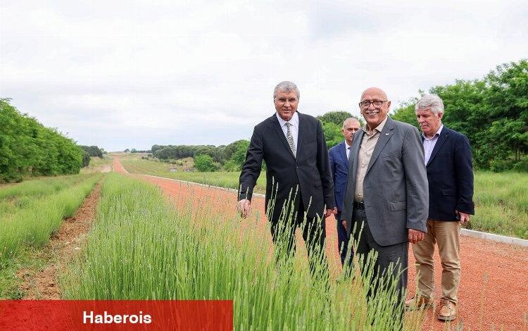 Sakarya Botanik Park vadiyi yaşam merkezi yapacak - Haberois Sakarya Botanik Park vadiyi yaşam merkezi yapacak