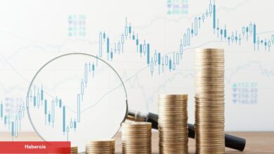 Santiment’ten Değerli Varsayım: Bu 7 Altcoin İzlenmeli!