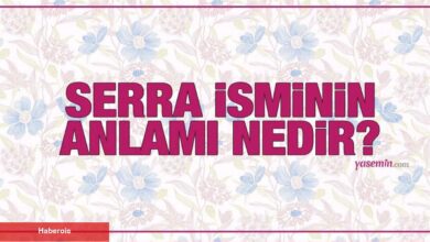 Serra isminin manası nedir? Serra ismi Kuran'da geçiyor mu? Serra isminde kaç kişi var?