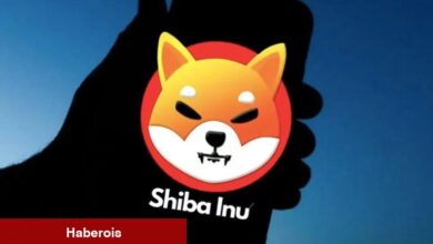 Sıcak Gelişme: Shiba Inu Platformu Engellendi!
