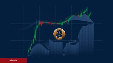 Sıradaki Bitcoin Boğa Döngüsünü Başlatacak 4 Şey!