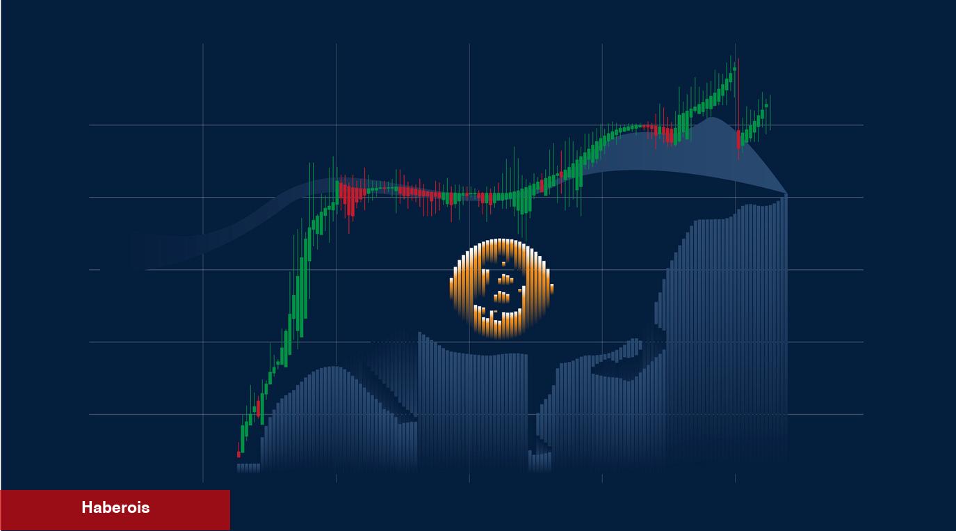 Sıradaki Bitcoin Boğa Döngüsünü Başlatacak 4 Şey!