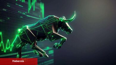 Sıradaki Boğa Piyasası İçin Alınacak En Uygun 4 Altcoin!