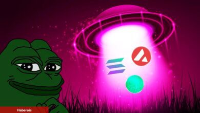 Sıradaki PEPE mi? AVAX ve Bu 7 Altcoini Not Alın!