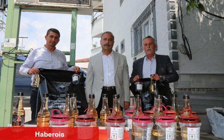 Sirke sineğine karşı Bursa'da tuzak dağıtımları sürüyor - Haberois Sirke sineğine karşı Bursa'da tuzak dağıtımları sürüyor