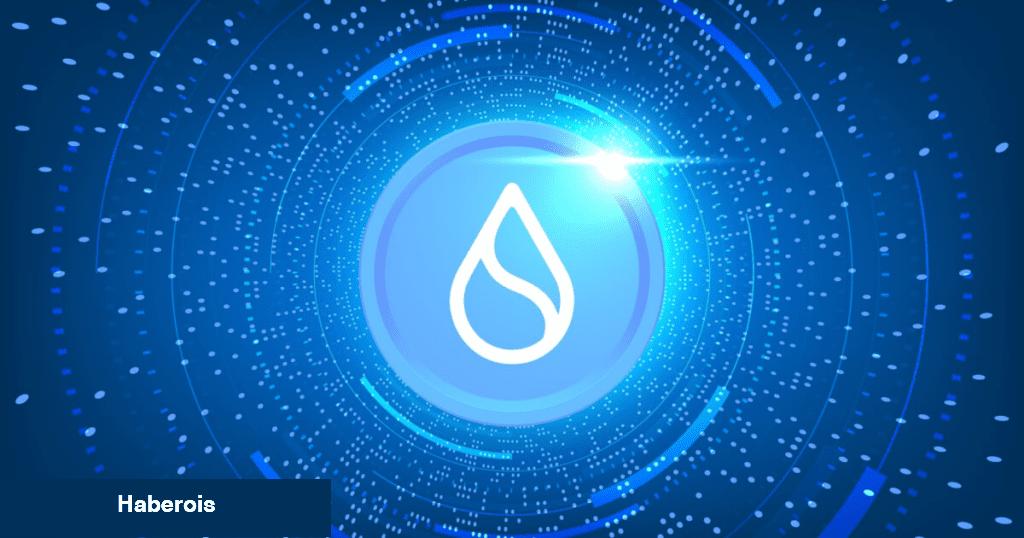 SUI Coin 400x Yapabilir mi? Danışmanlık Devi Cevapladı! - Haberois SUI Coin 400x Yapabilir mi? Danışmanlık Devi Cevapladı!