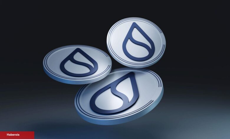SUI Coin 400x Yapabilir mi? Danışmanlık Devi Cevapladı! - Haberois SUI Coin 400x Yapabilir mi? Danışmanlık Devi Cevapladı!