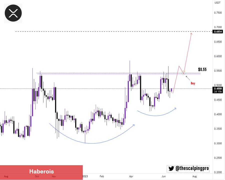 Tabandan Hangi Altcoinler Toplanır? Hangileri Fırlar?