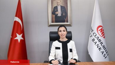 TCMB Lideri Erkan, McLennan İdaresinden Ayrıldı