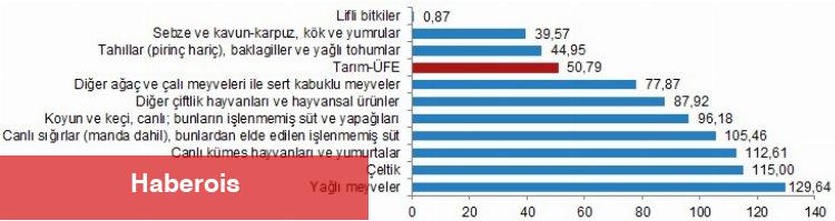 TÜİK açıkladı... Tarım-ÜFE'ye göre maliyetler yarı yarıya arttı