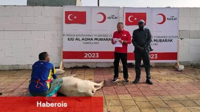 Türk Kızılay Kurban Kesimlerini Başlattı