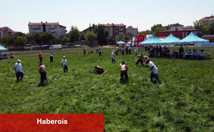 Türkiye Üniversitelerarası Yağlı Güreş Şampiyonası'nda pehlivanlar er meydanında - Haberois Türkiye Üniversitelerarası Yağlı Güreş Şampiyonası'nda pehlivanlar er meydanında