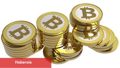 Türklerin Aldığı 3 Altcoin İçin Balina Alarmı! Fiyat Ne Olur?