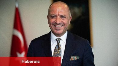 Üçüncü Nükleer Santral Projesi İçin Çin Devlet Enerji Yatırım Şirketi NPPES'e Katılacak
