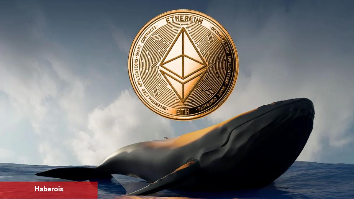 Ünlü Analist 2 Altcoin Dedi Ve Ekledi…