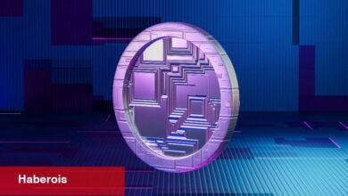 Ünlü Yönetici Duyurdu: Bu Altcoin Emtia Olarak Kabul Edildi!