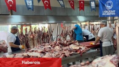 Üsküdar'da 10 binden fazla aileye 50 ton kurban eti dağıtıldı
