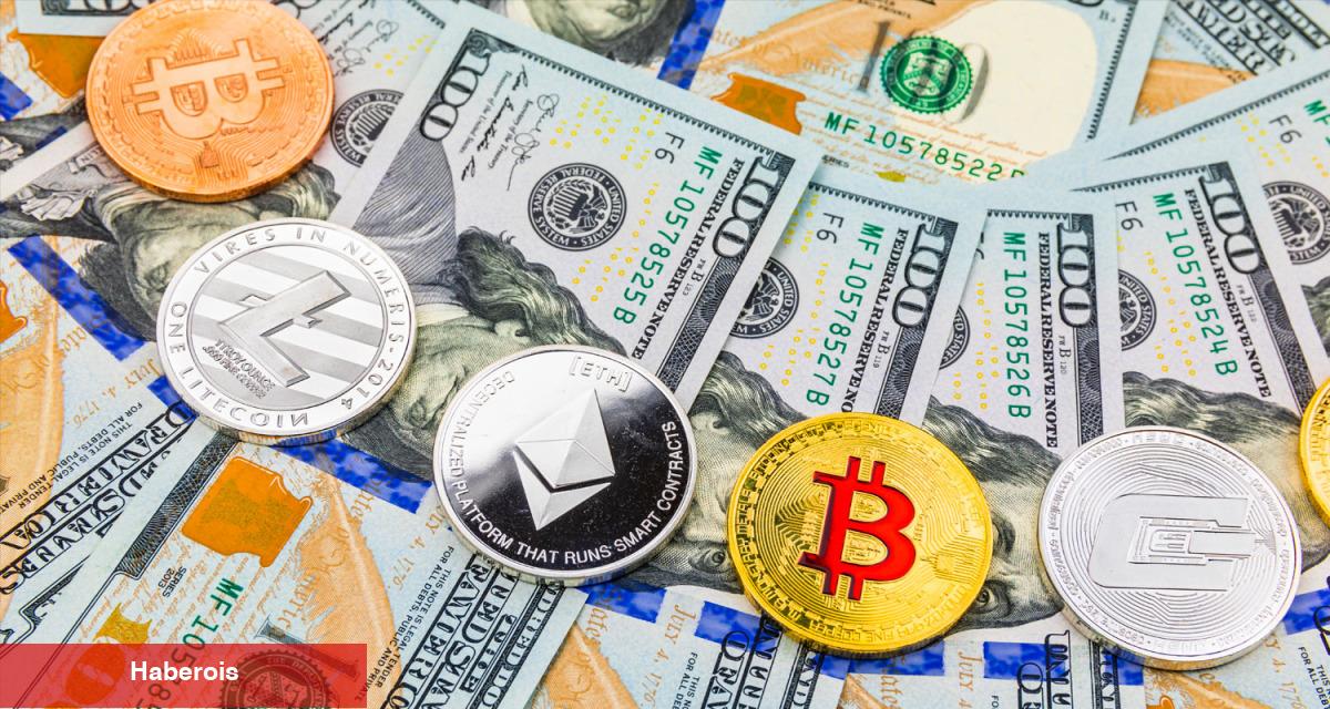 Usta Analist İsim Bile Verdi: Altcoin Piyasası Çökecek!