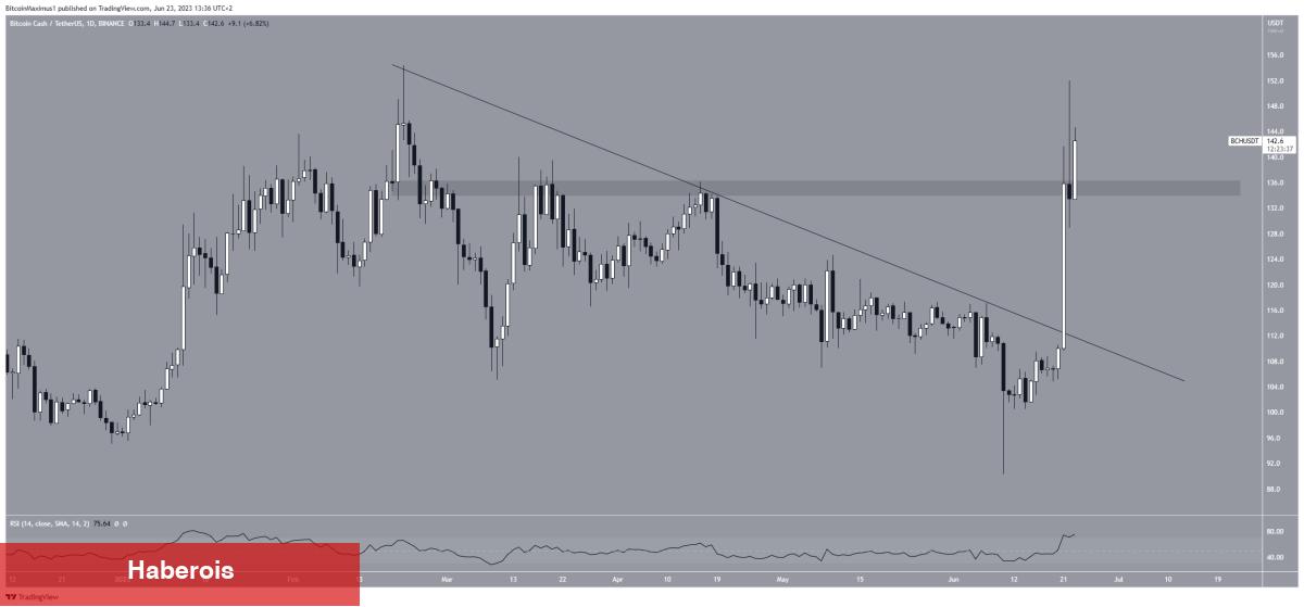 Uzman: Bu Altcoin, Haziran’da İzlenecek En Güzel Coin!