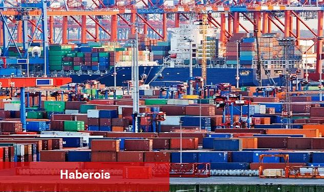 Vize ihracatçıların sorunlarında liste başı oldu - Haberois Vize ihracatçıların sorunlarında liste başı oldu
