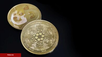 XRP, ADA, DOGE ve Bu 5 Altcoin İçin Al-Sat Seviyeleri!