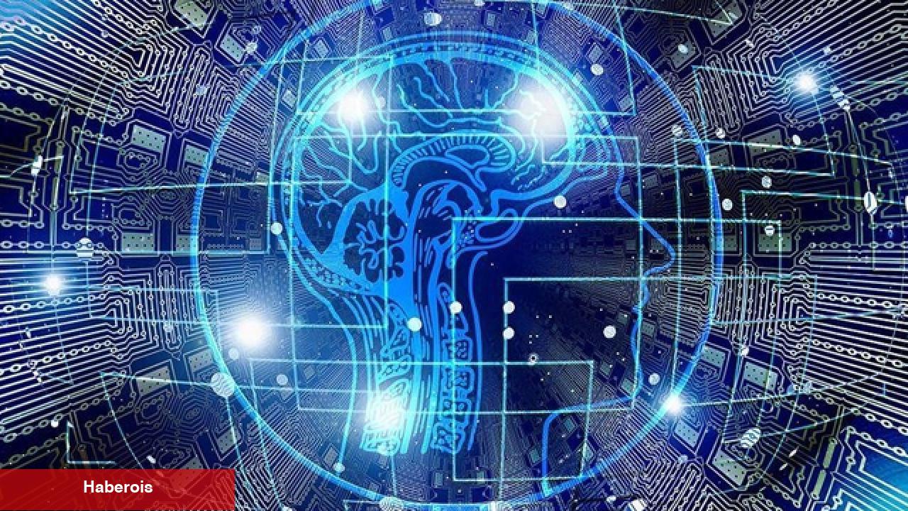Yapay zeka, erken doğumları gebeliğin 31. haftasında iddia edebildi