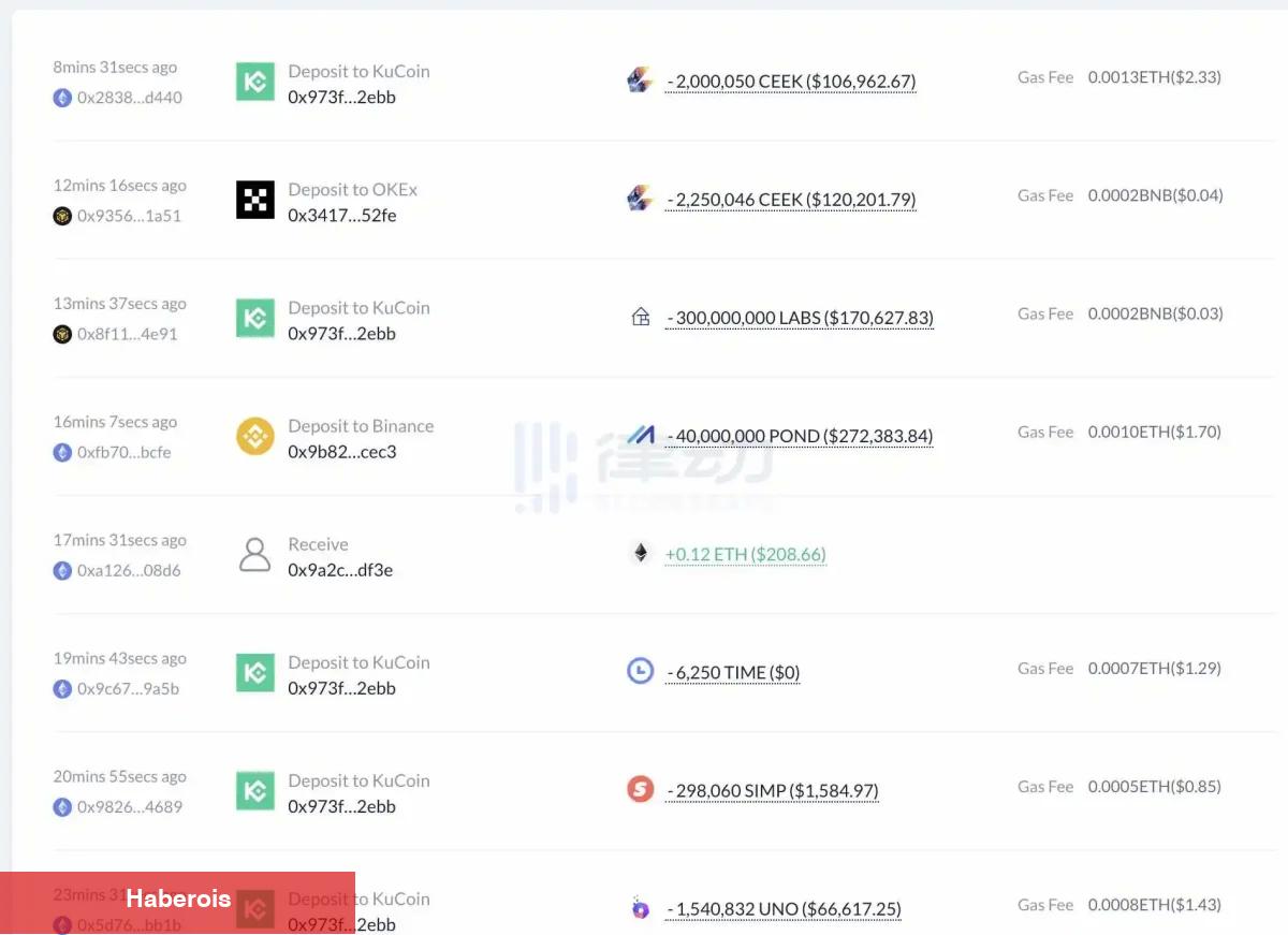 Yatırım Şirketi, RACA ve Bu 11 Altcoin’i Borsalara Döküyor! - Haberois Yatırım Şirketi, RACA ve Bu 11 Altcoin’i Borsalara Döküyor!