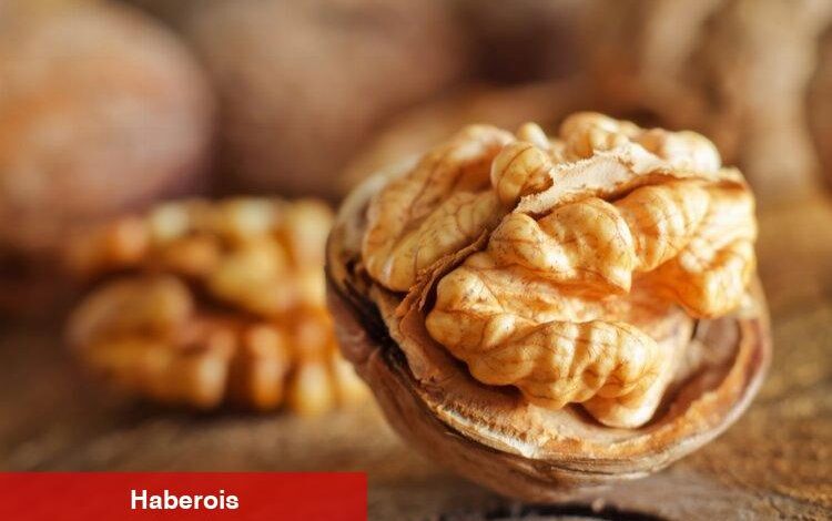 Yerli ceviz de markalaşacak - Haberois Yerli ceviz de markalaşacak